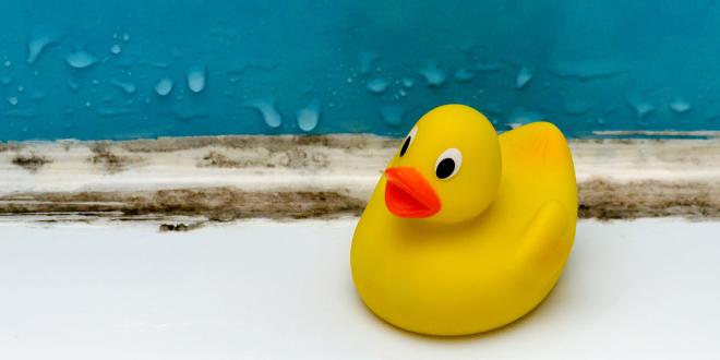 a rubber duck grossed out by mold in the bathroom