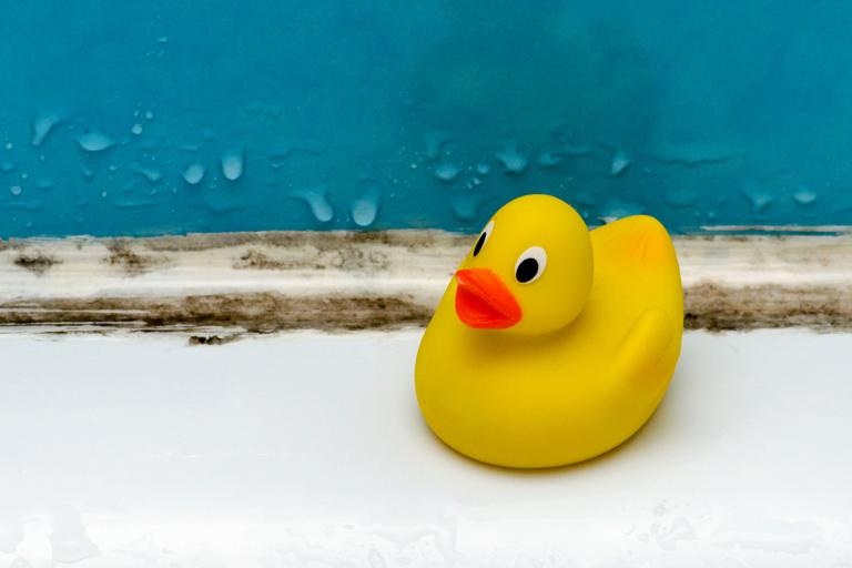 a rubber duck grossed out by mold in the bathroom
